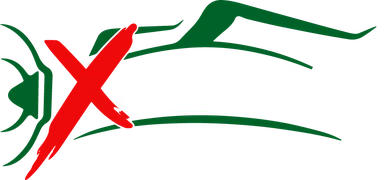 X Plagas - Control de Plagas